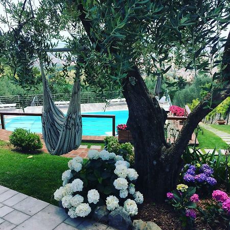 Villa L'Uliveta Montecatini Terme Kültér fotó